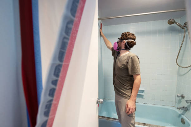 Best Residential Mold Inspection & Testing  in Higginsville, MO
