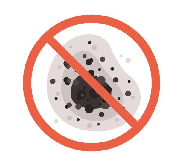 Best Mold Remediation for Healthcare Facilities  in Higginsville, MO